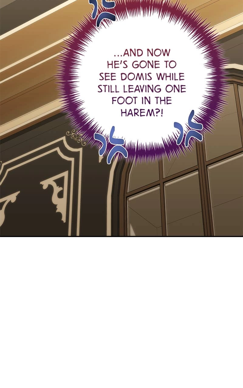 Men of the Harem Chapter 156 Page 35