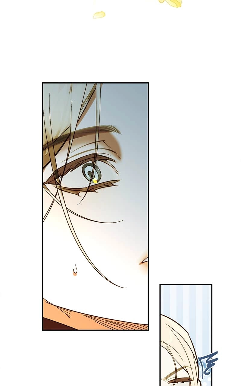 Men of the Harem Chapter 166 Page 11