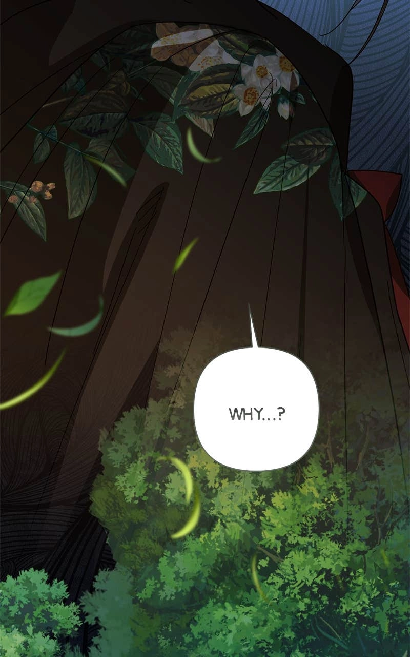 Men of the Harem Chapter 166 Page 37