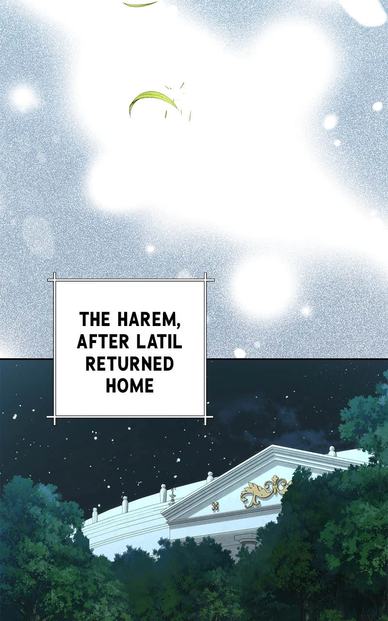 Men of the Harem Chapter 166 Page 71