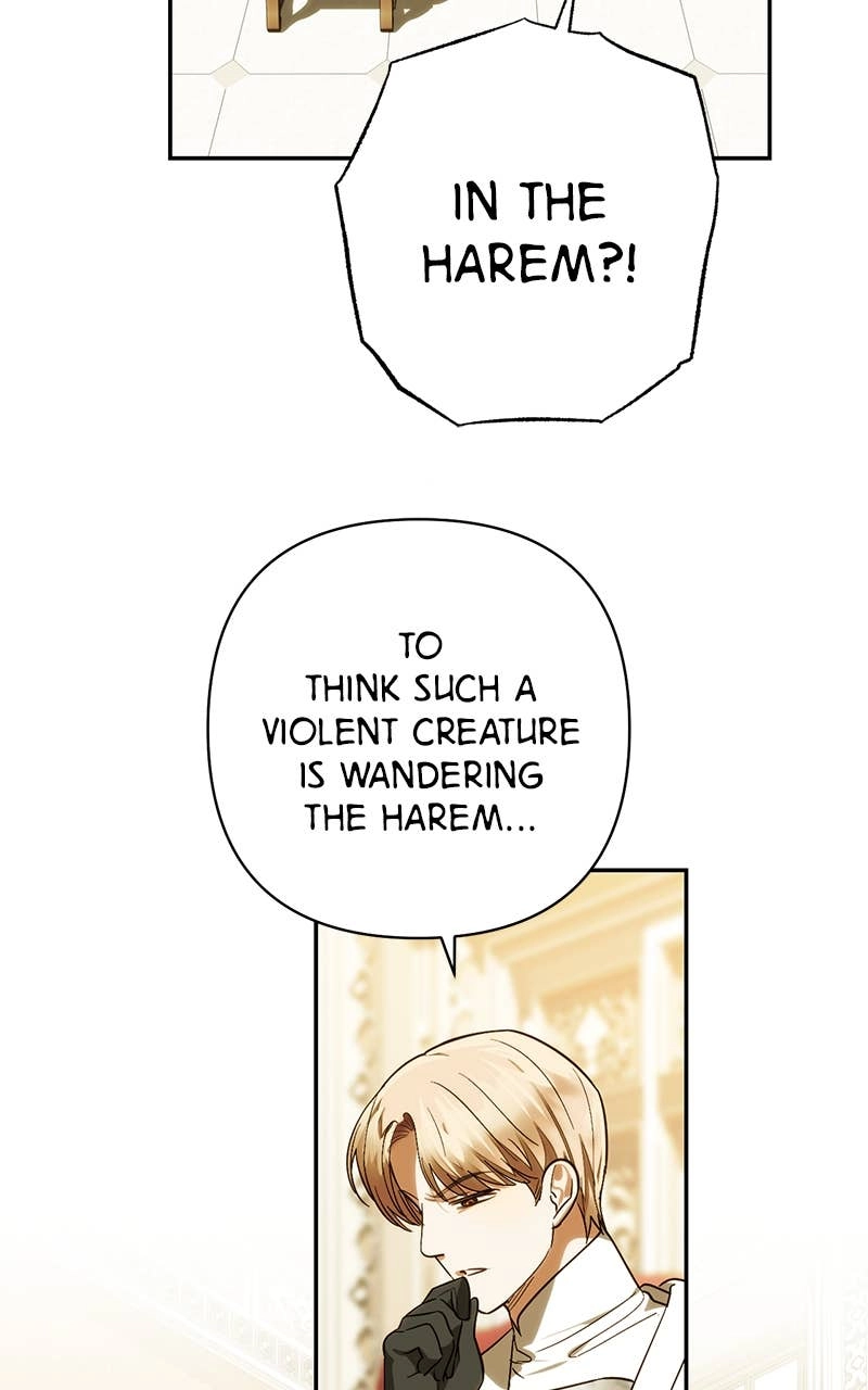 Men of the Harem Chapter 177 Page 49