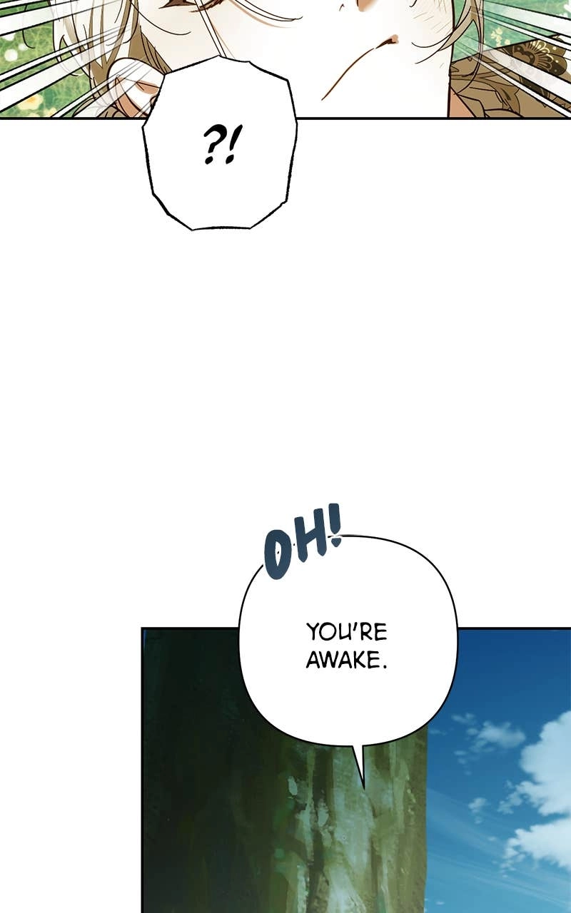 Men of the Harem Chapter 178 Page 64