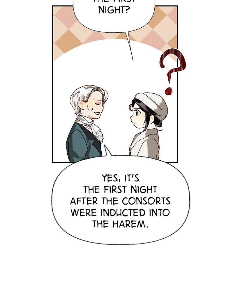 Men of the Harem Chapter 19 Page 28