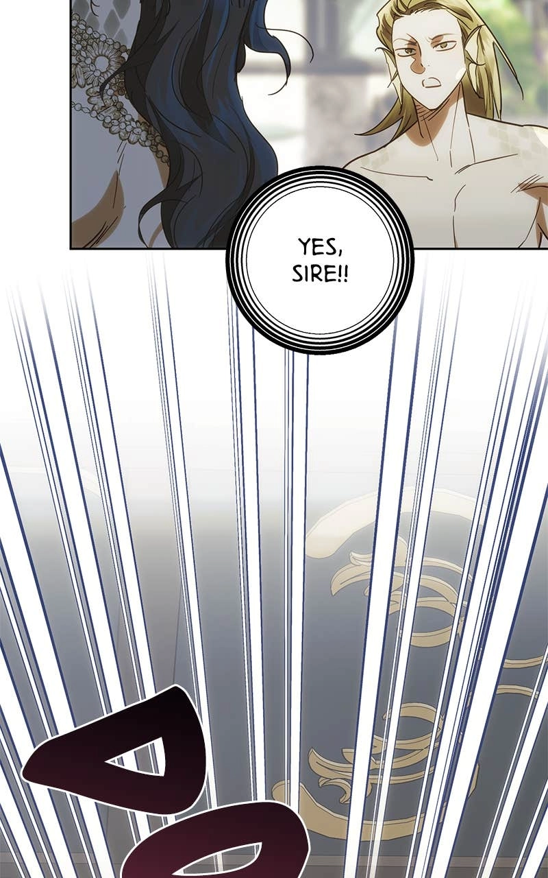 Men of the Harem Chapter 195 Page 66