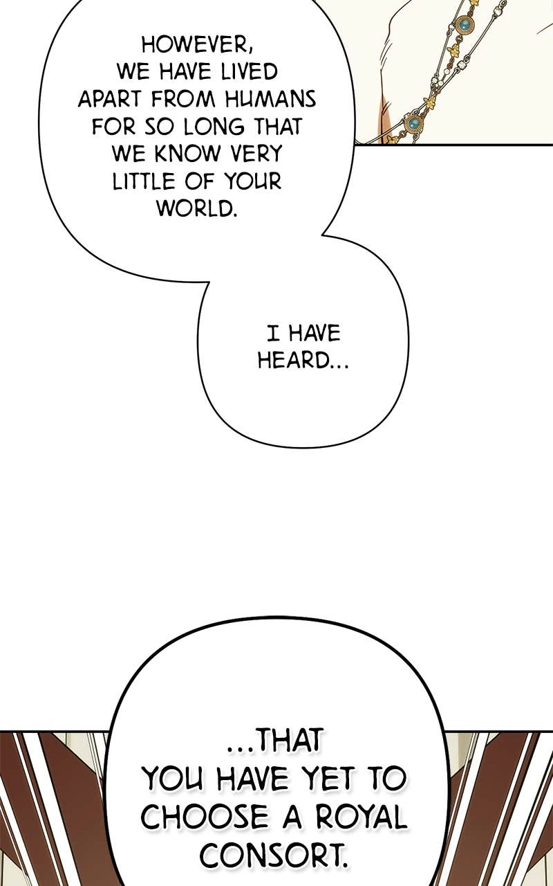 Men of the Harem Chapter 203 Page 154
