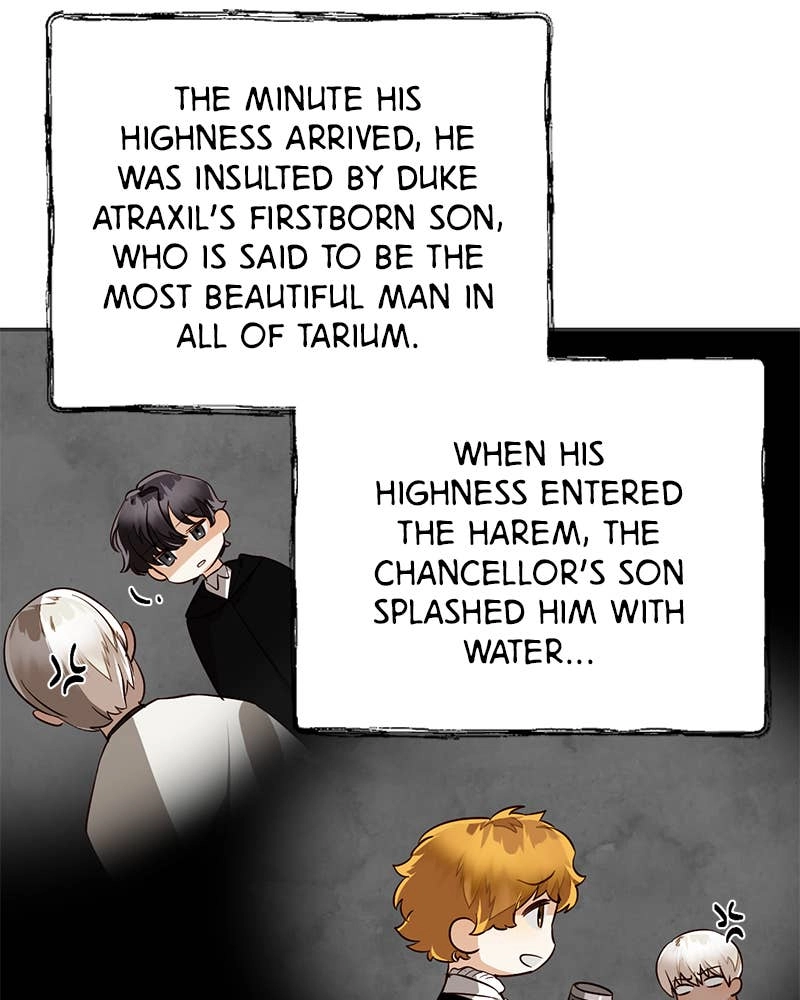 Men of the Harem Chapter 41 Page 10