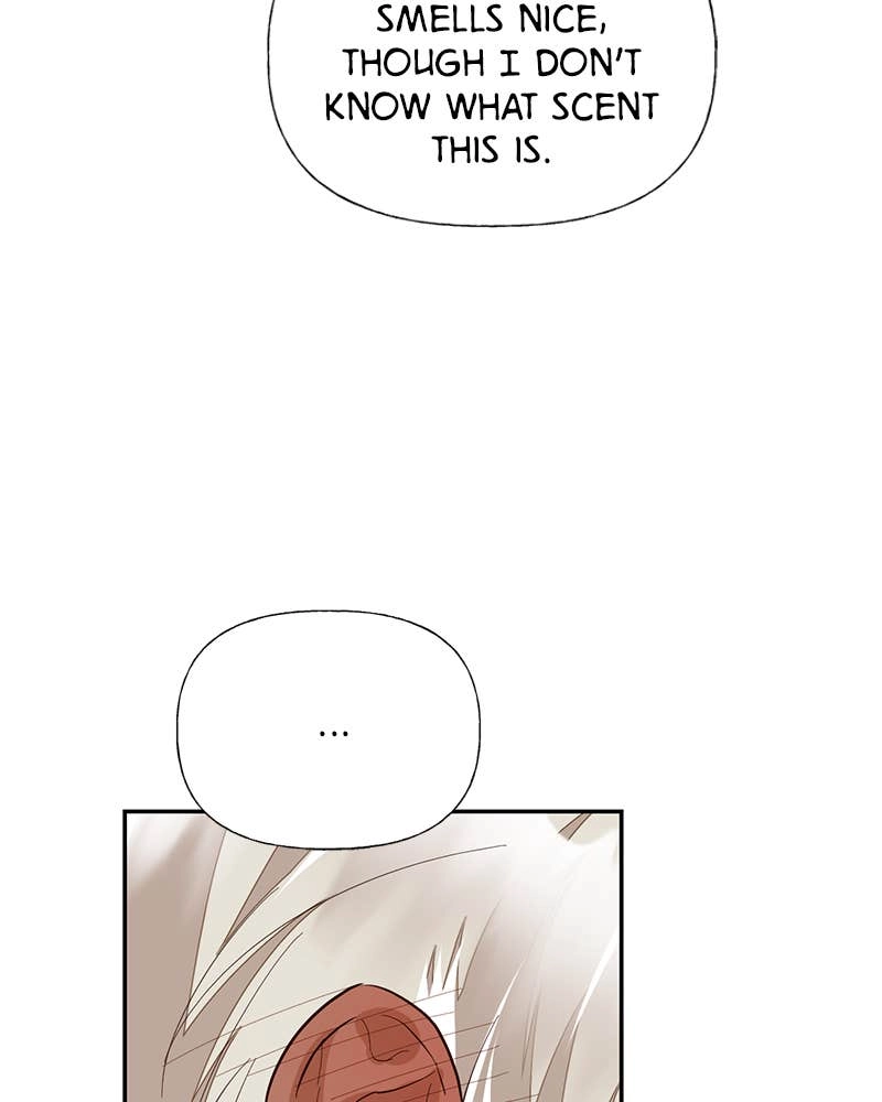 Men of the Harem Chapter 43 Page 11