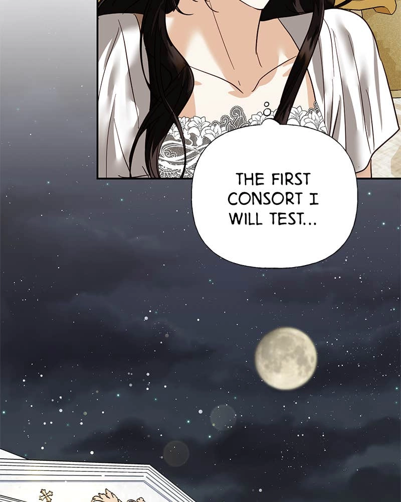 Men of the Harem Chapter 56 Page 95