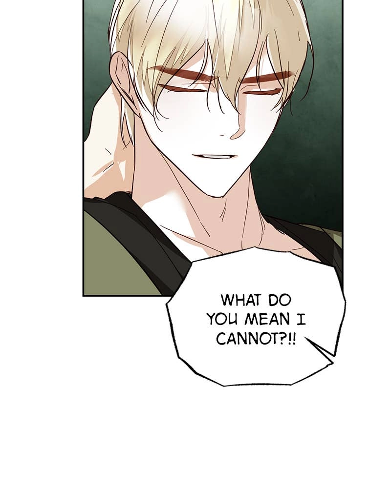 Men of the Harem Chapter 58 Page 41