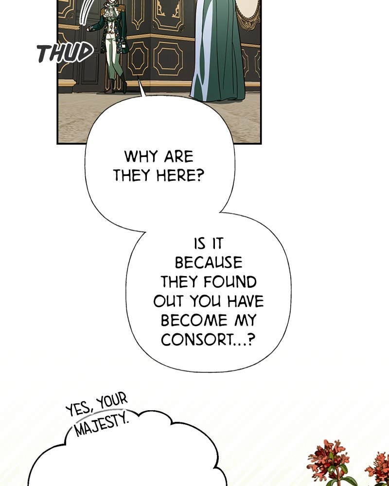 Men of the Harem Chapter 64 Page 44