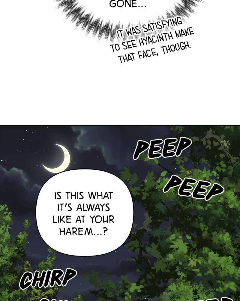 Men of the Harem Chapter 69 Page 91