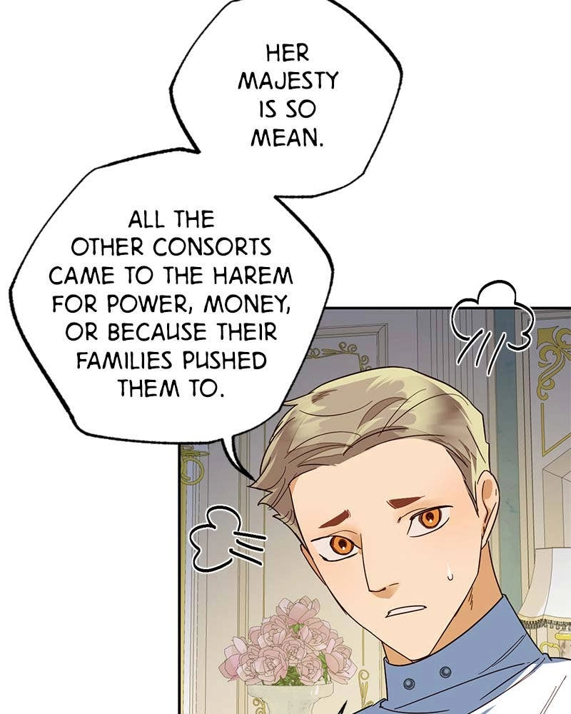 Men of the Harem Chapter 72 Page 6