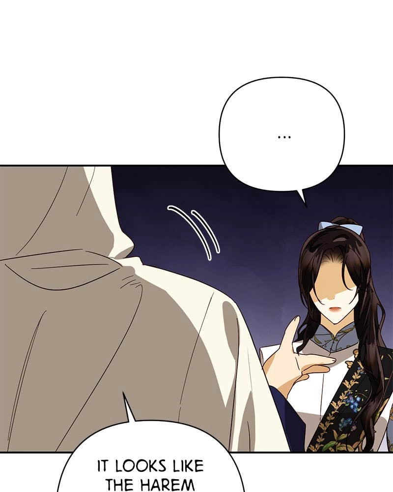Men of the Harem Chapter 80 Page 37