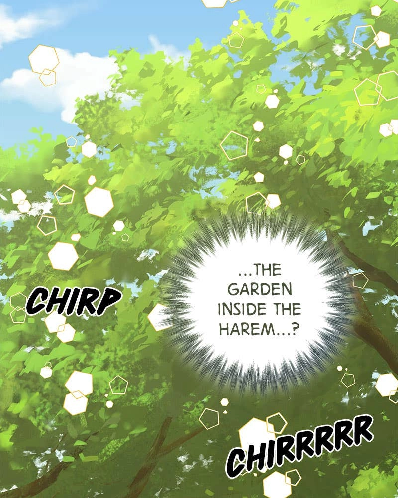 Men of the Harem Chapter 83 Page 16