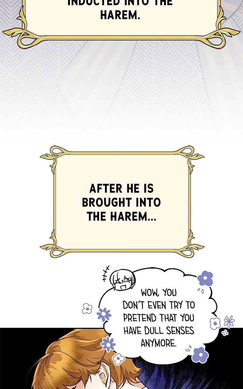 Men of the Harem Chapter 86 Page 73