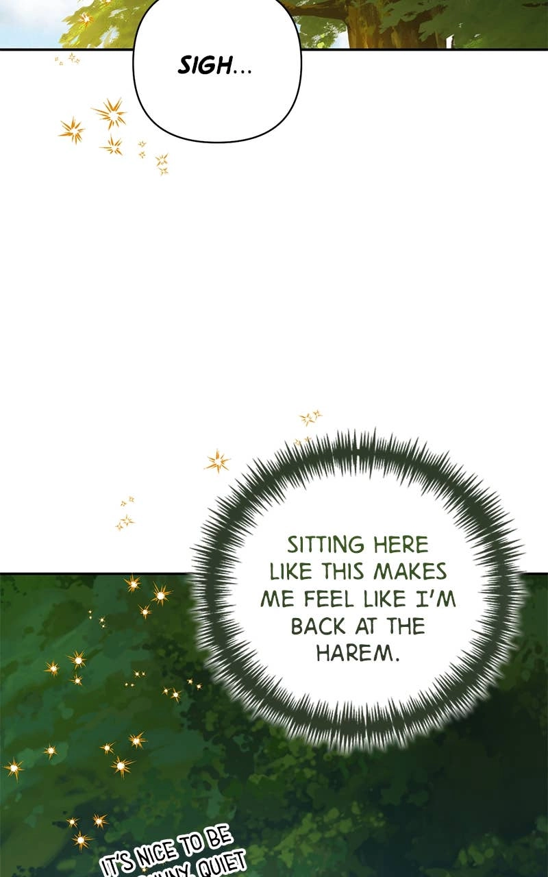 Men of the Harem Chapter 97 Page 72