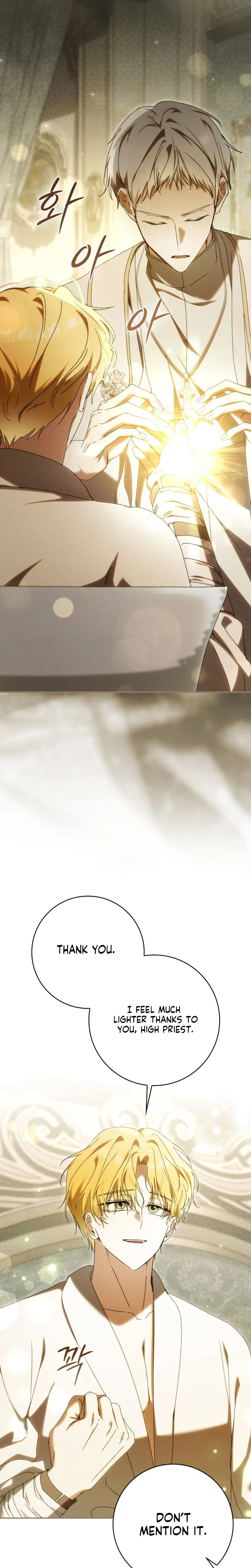 My Husband Is My Bias, But I Think I'm Getting Divorced Chapter 41 Page 17
