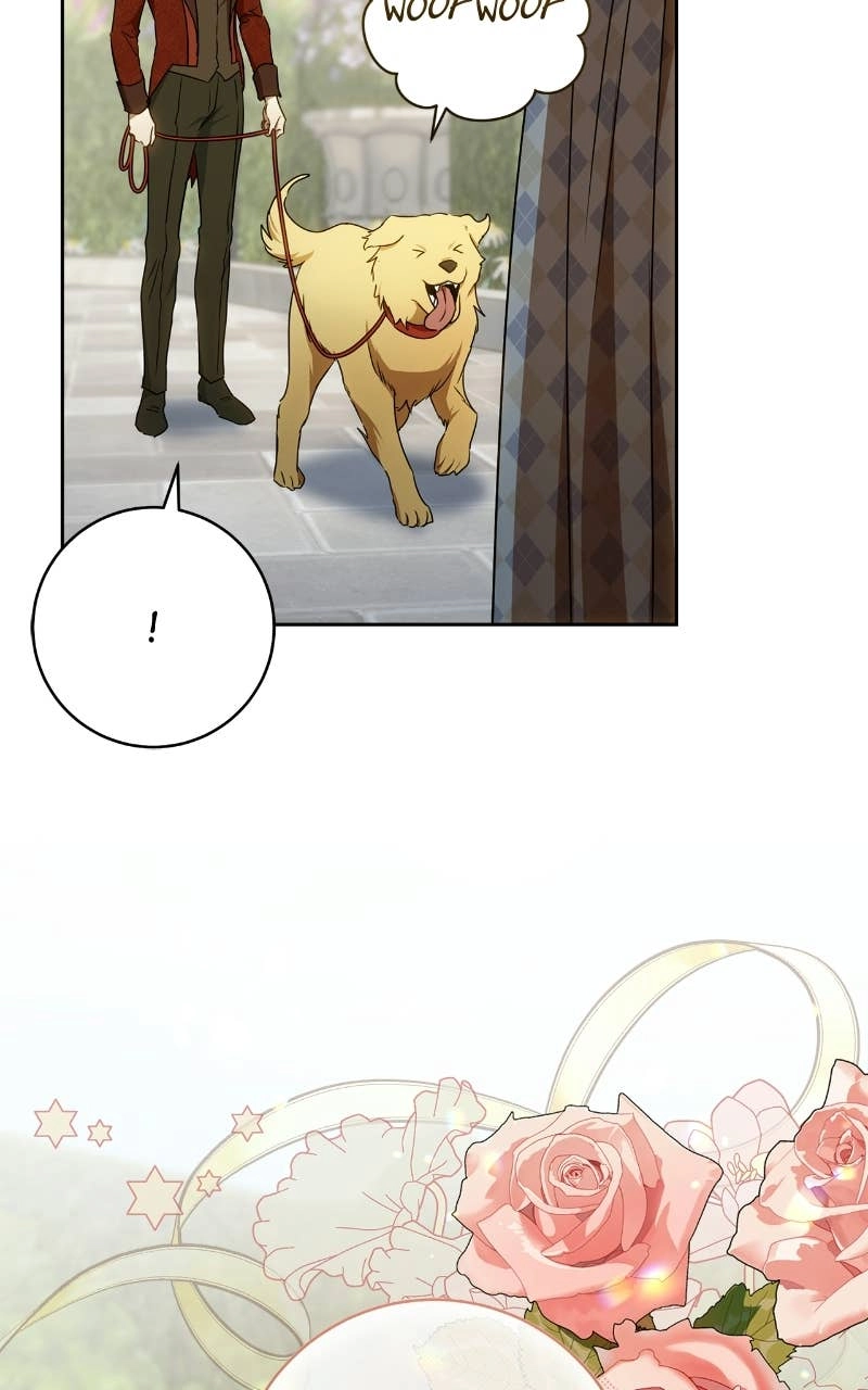 My Husband Was Stolen Twice Chapter 42 Page 73