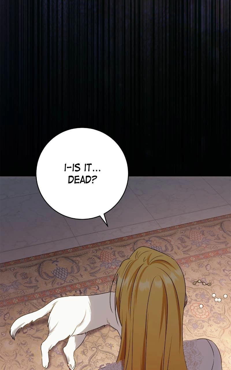 My Husband Was Stolen Twice Chapter 44 Page 104