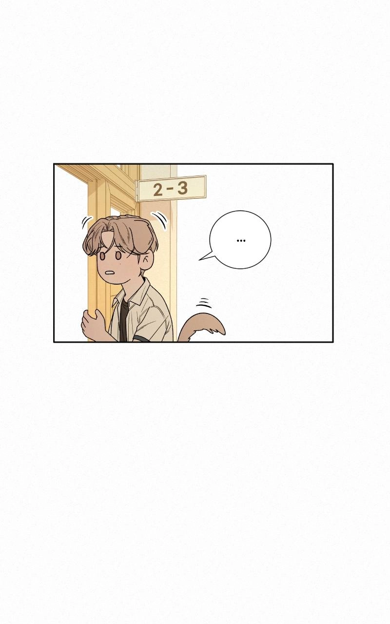 Operation: True Love Chapter 70 Page 50