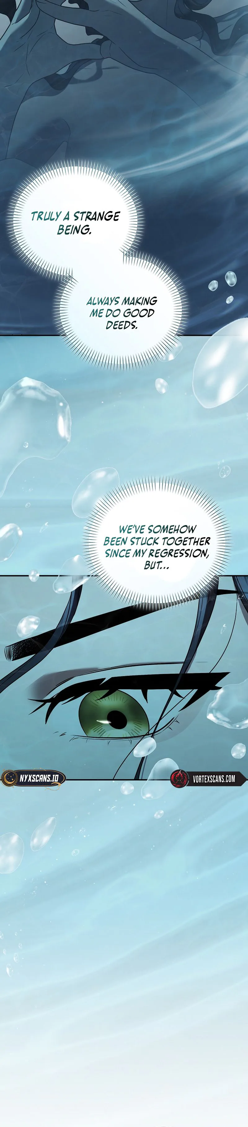 SSS-Class Regressor Has No Conscience Chapter 12 Page 19