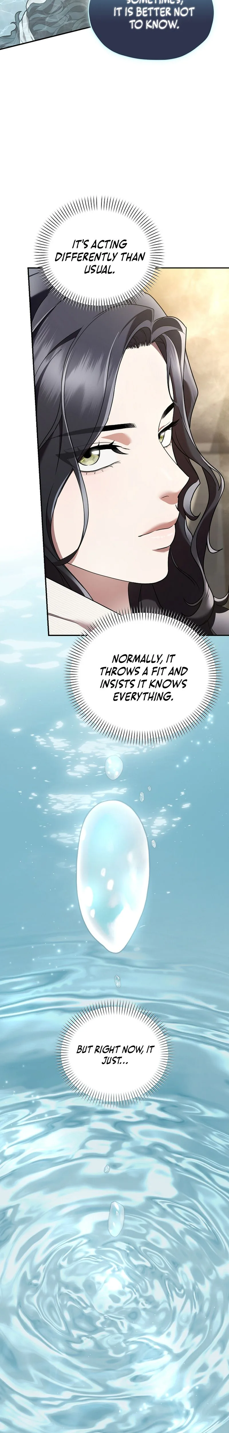 SSS-Class Regressor Has No Conscience Chapter 12 Page 24