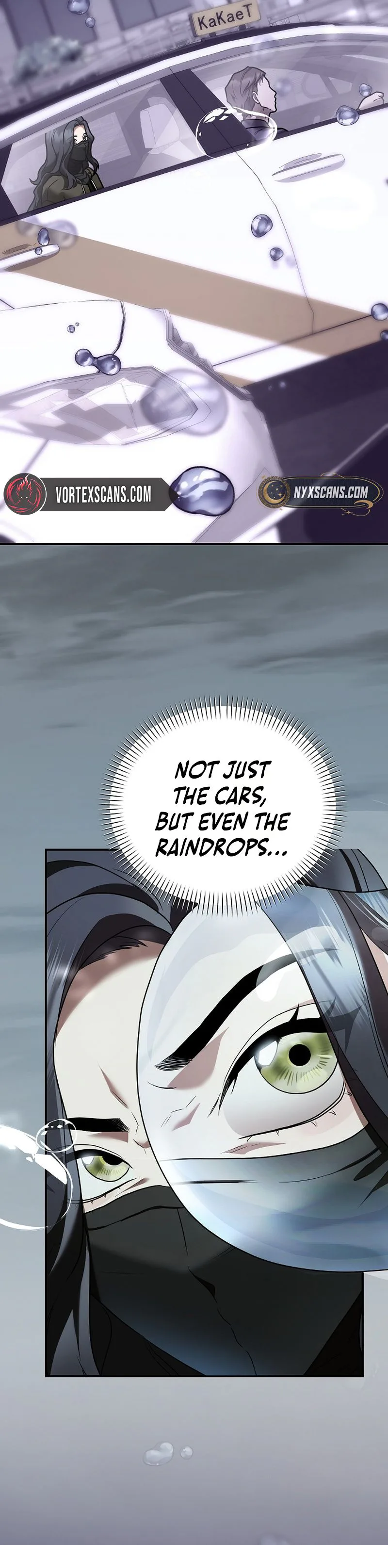 SSS-Class Regressor Has No Conscience Chapter 27 Page 6