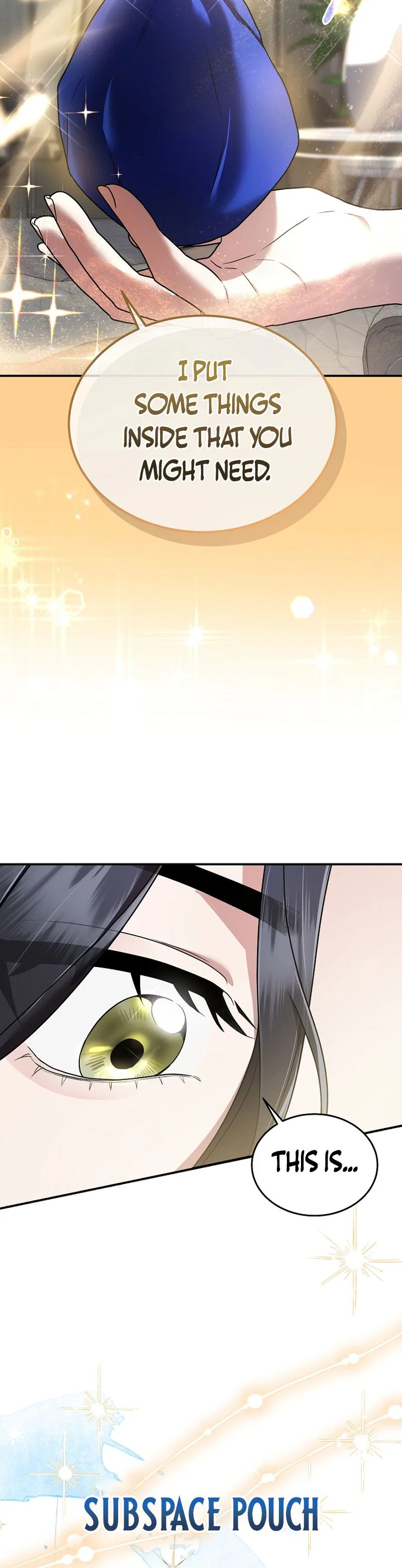 SSS-Class Regressor Has No Conscience Chapter 14 Page 13