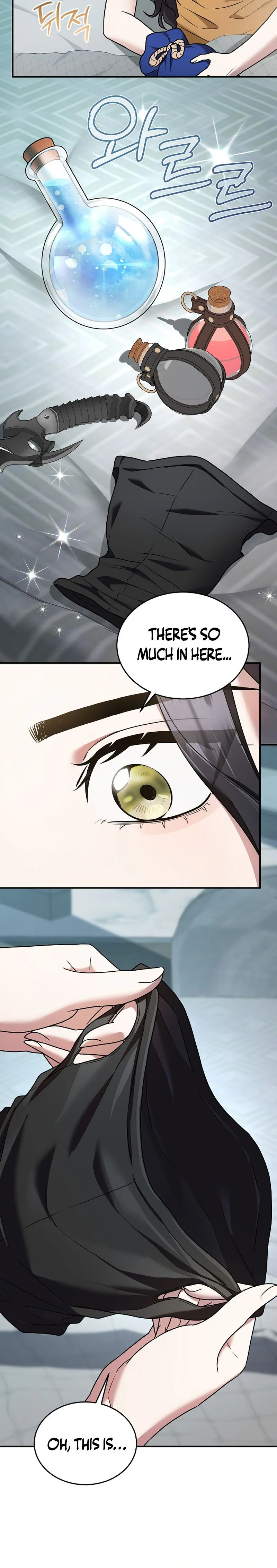 SSS-Class Regressor Has No Conscience Chapter 14 Page 16