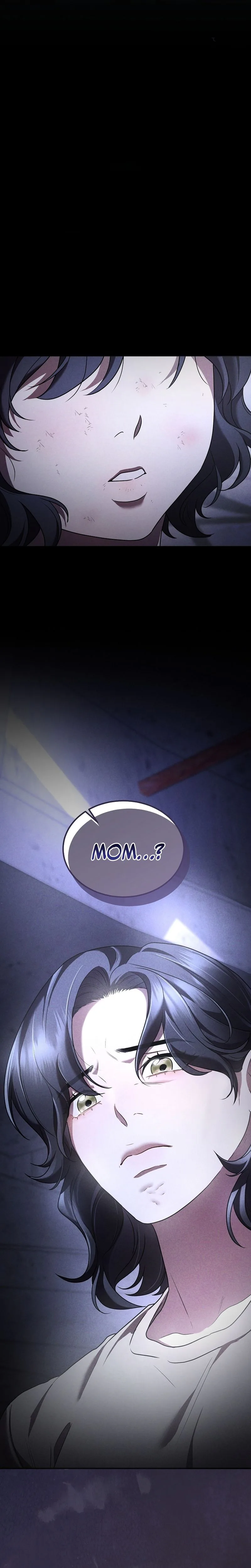 SSS-Class Regressor Has No Conscience Chapter 13 Page 15