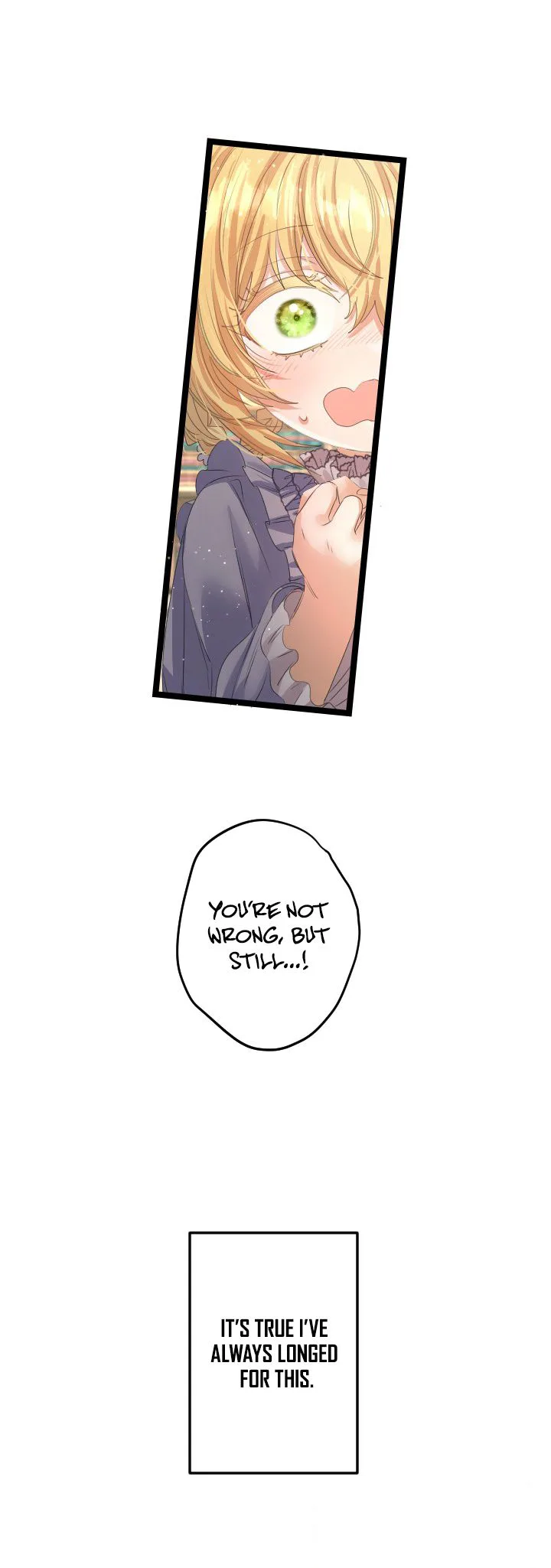 The Calamity Prince Wants the Fake Princess Chapter 14 Page 27