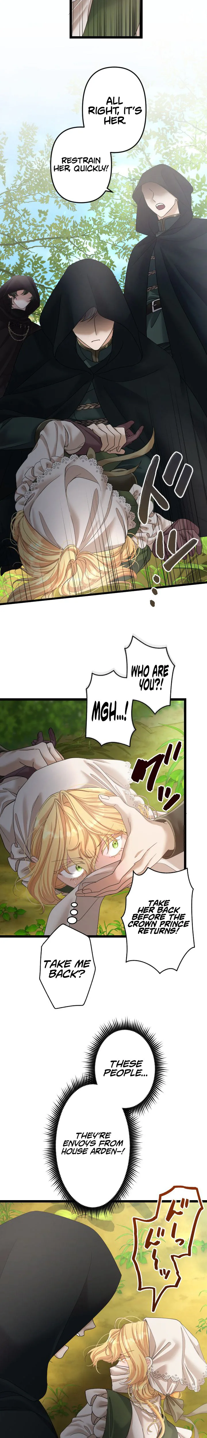 The Calamity Prince Wants the Fake Princess Chapter 9 Page 8