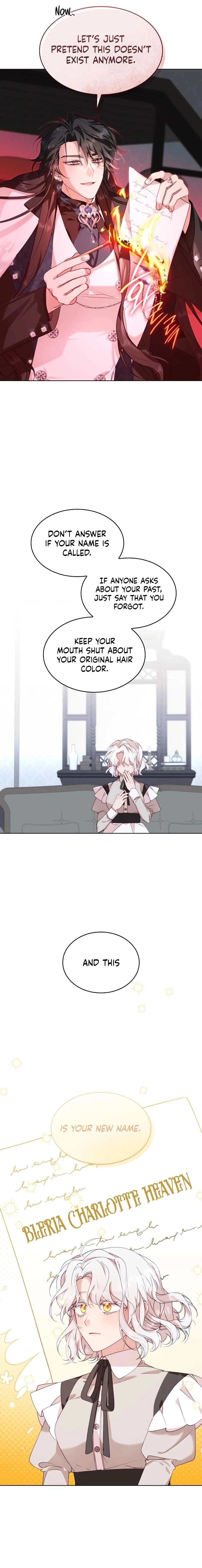 The Day the Real One Appeared Chapter 1 Page 13