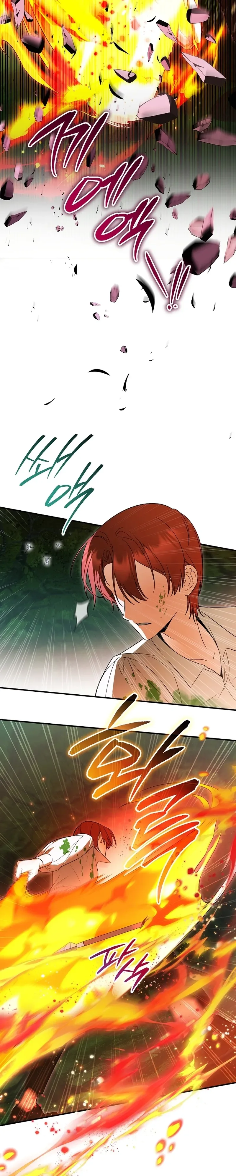 The Eldest Daughter Walks Down The Flower Path Chapter 17 Page 21