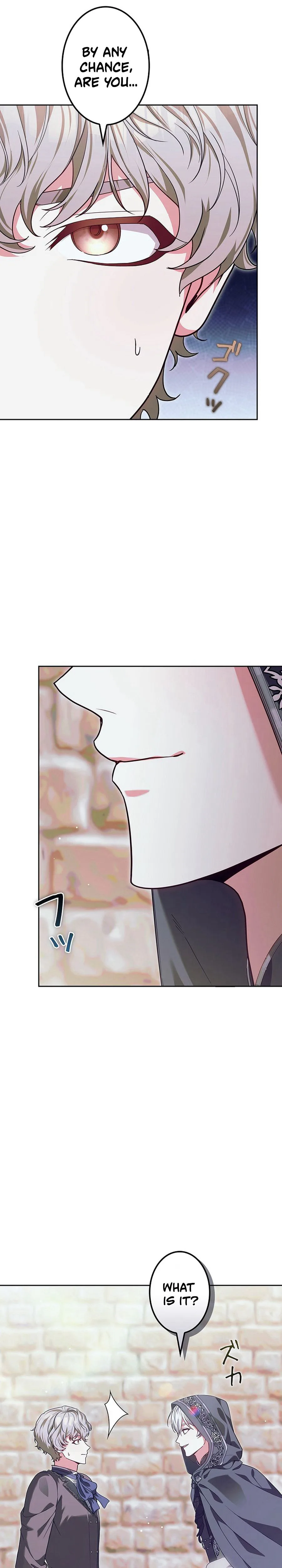 The Hated Stepmother Begins Her Second Life Chapter 14 Page 13