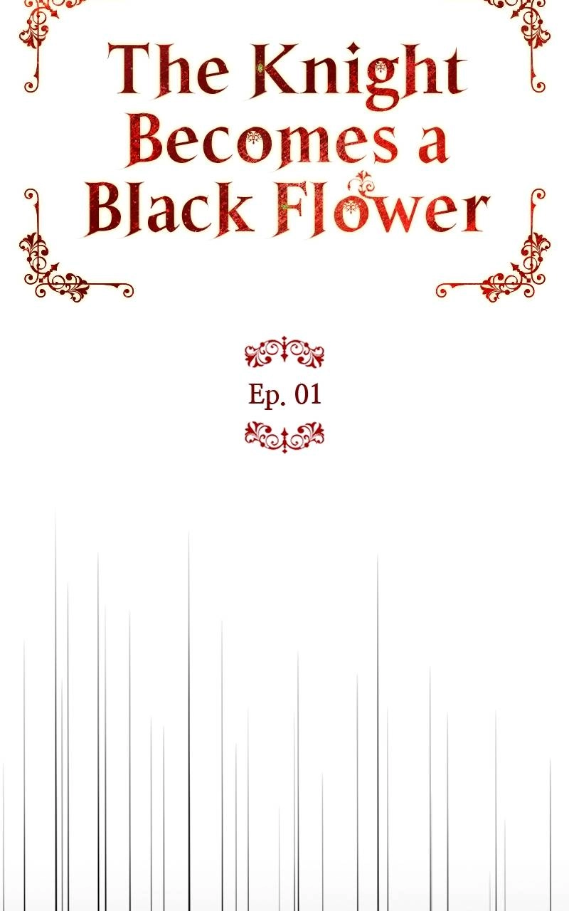 The Knight Becomes a Black Flower Chapter 1 Page 47