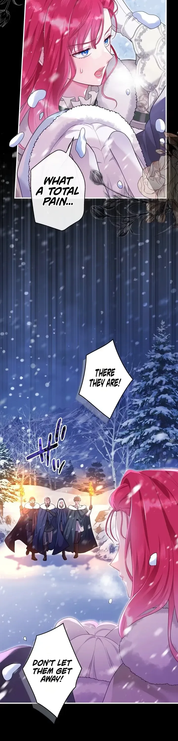 The Lady's Dual Personality Chapter 17 Page 27