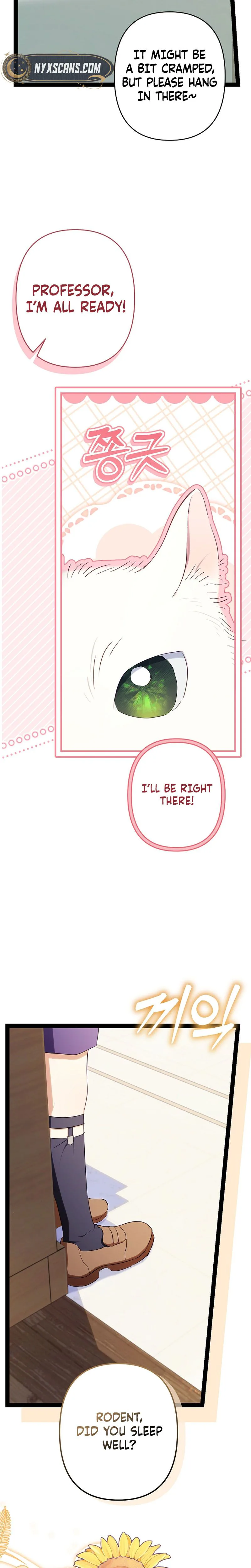 The Rebel Army's Quack Doctor Chapter 39 Page 15