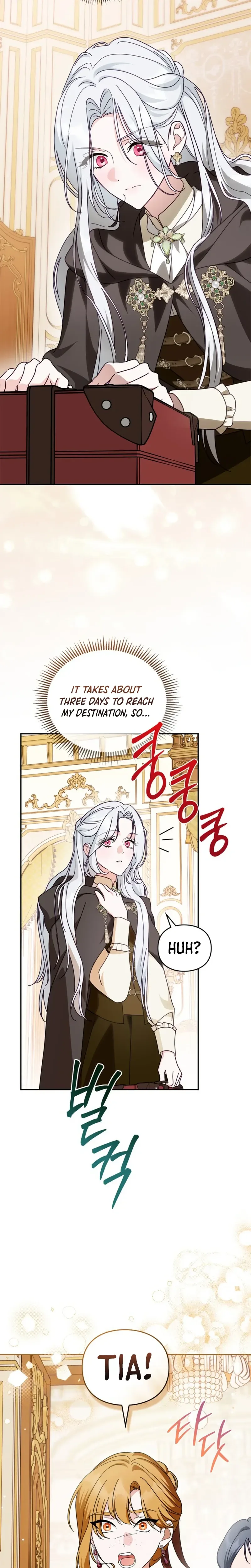 The Search for the Duchess’s Husband Chapter 27 Page 11