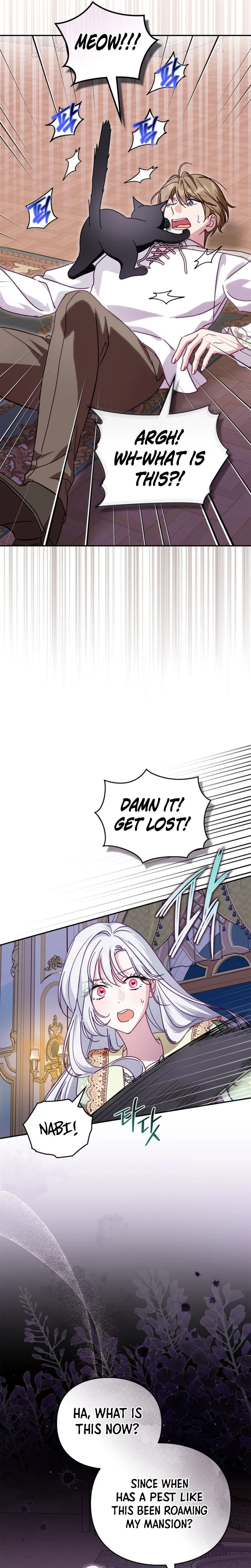 The Search for the Duchess’s Husband Chapter 10 Page 17