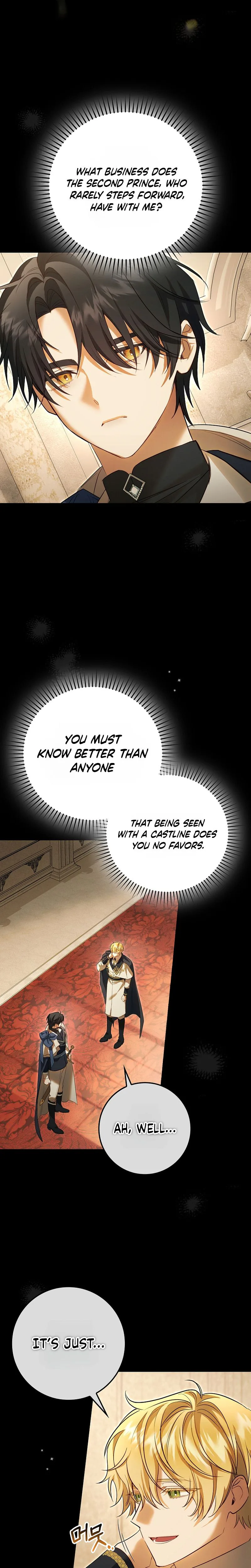 The Sister-in-Law of the Childcare Story's Heroine Chapter 17 Page 15