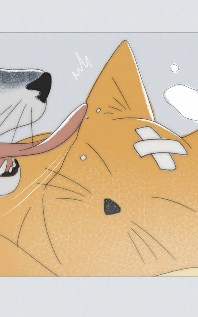 The Students of Illip Arts High Chapter 81 - Give Her a Hug Page 83