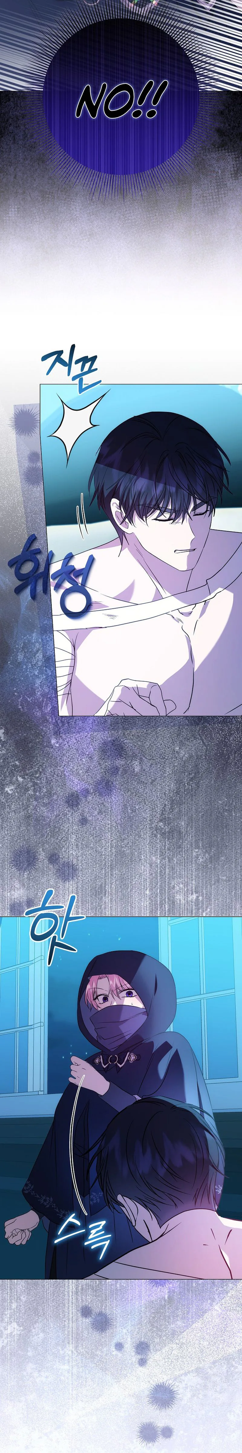 The Villainess's Secret Patron Was Exposed Chapter 16 Page 25