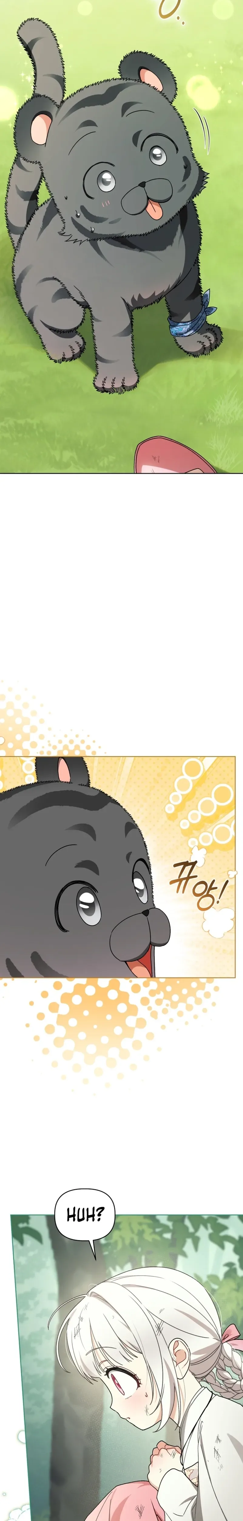 The White Tiger Clan’s Baby Cotton Ball Chapter 17 Page 17
