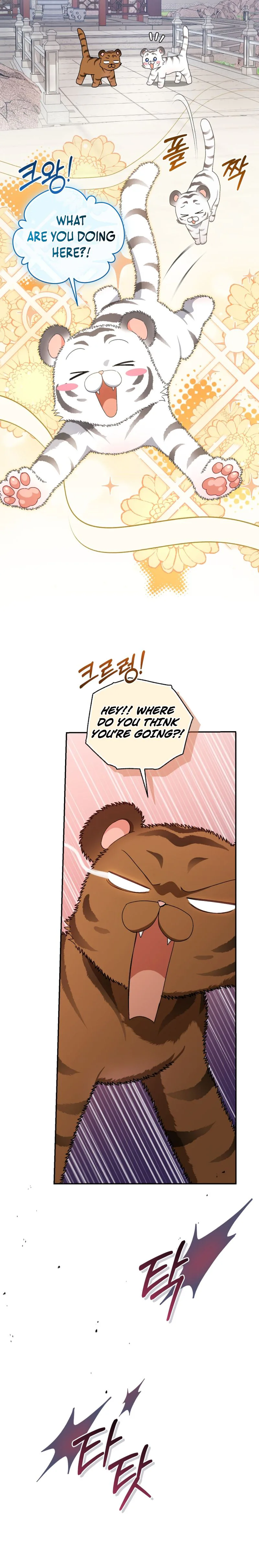 The White Tiger Clan’s Baby Cotton Ball Chapter 15 Page 12