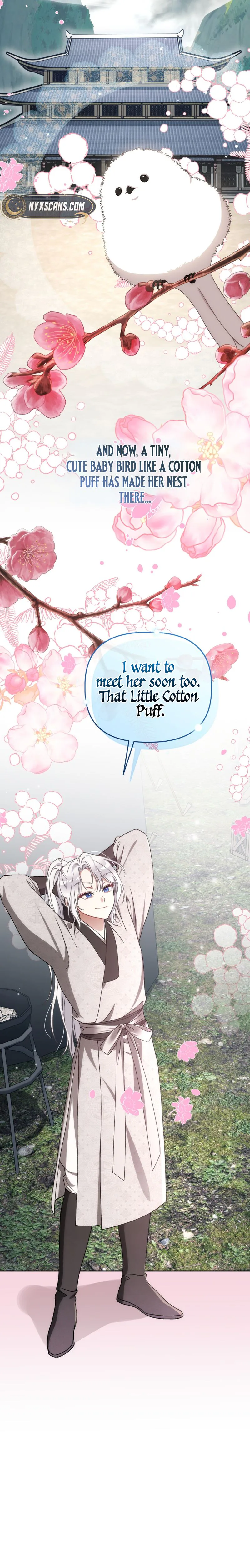 The White Tiger Clan’s Baby Cotton Ball Chapter 35 Page 31