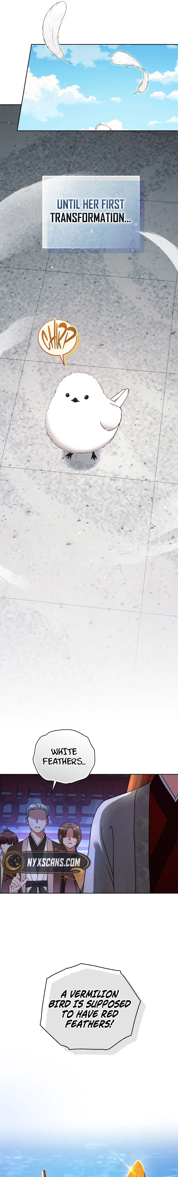The White Tiger Clan’s Baby Cotton Ball Chapter 1 Page 13