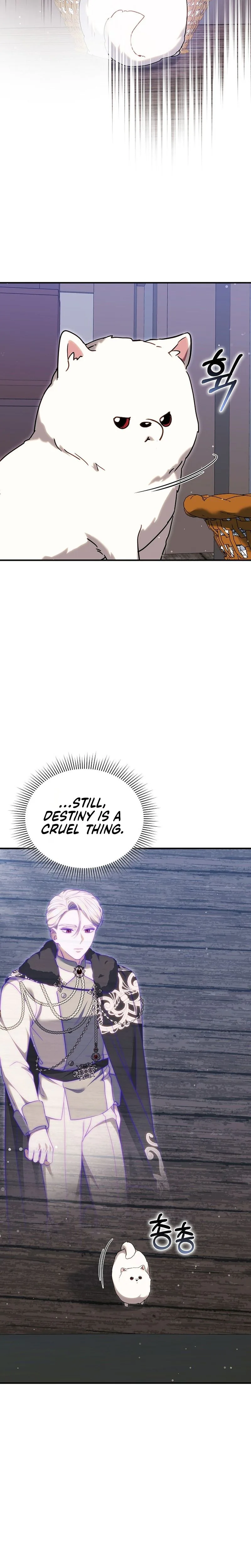 When My Pet Became the Villain Chapter 5 Page 11