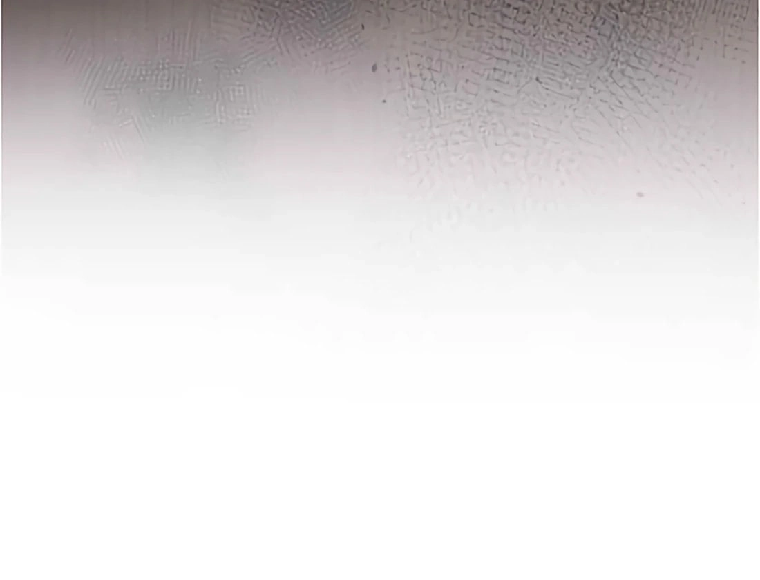 When the Third Wheel Strikes Back Chapter 63 Page 48