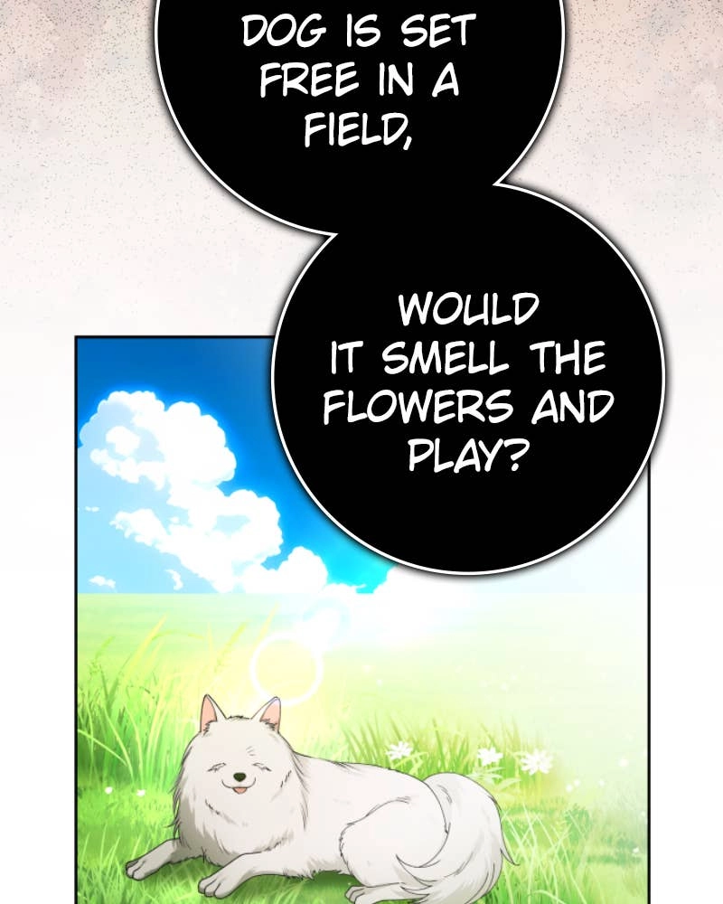 Your Throne Chapter 233 - Killing One Dog (Final) Page 9